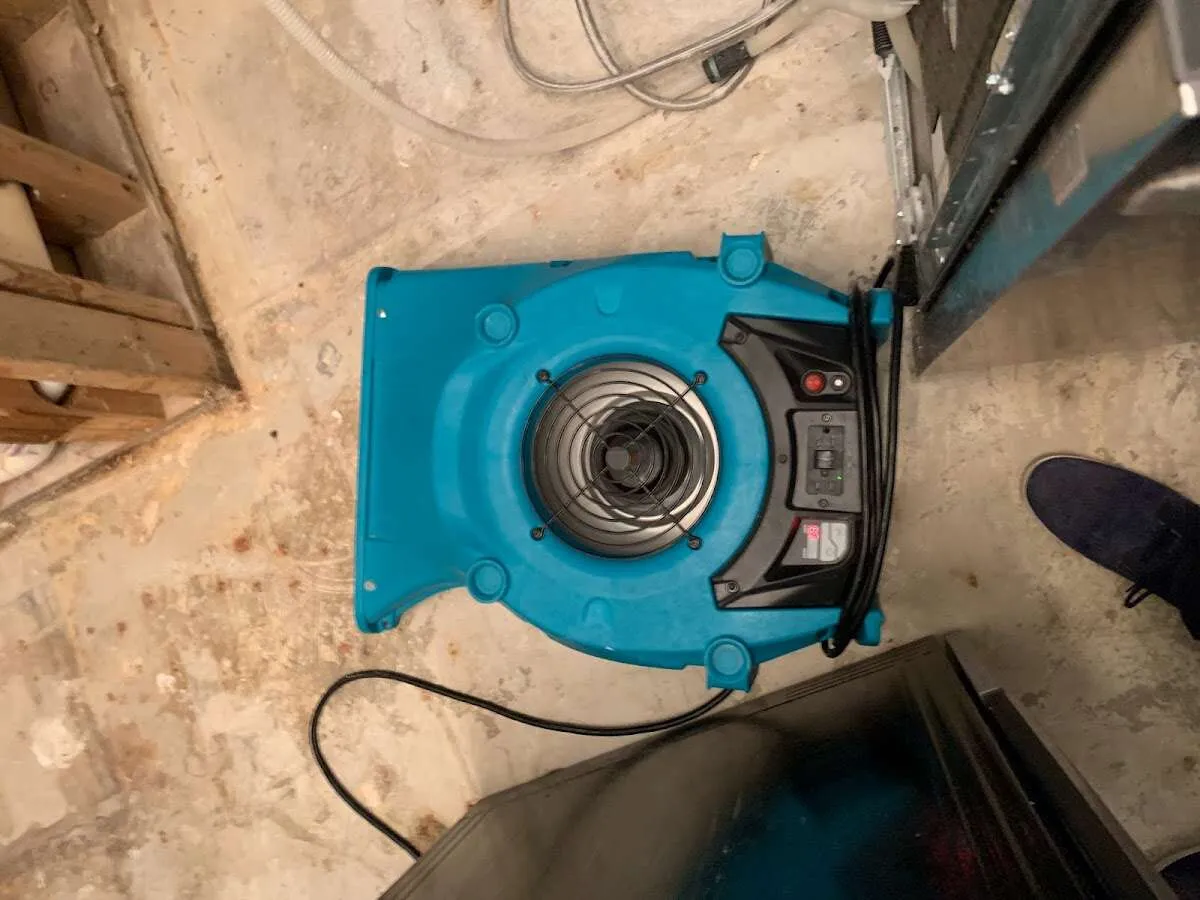 Air mover drying equipment for Mold Remediation & Removal in Bloomington